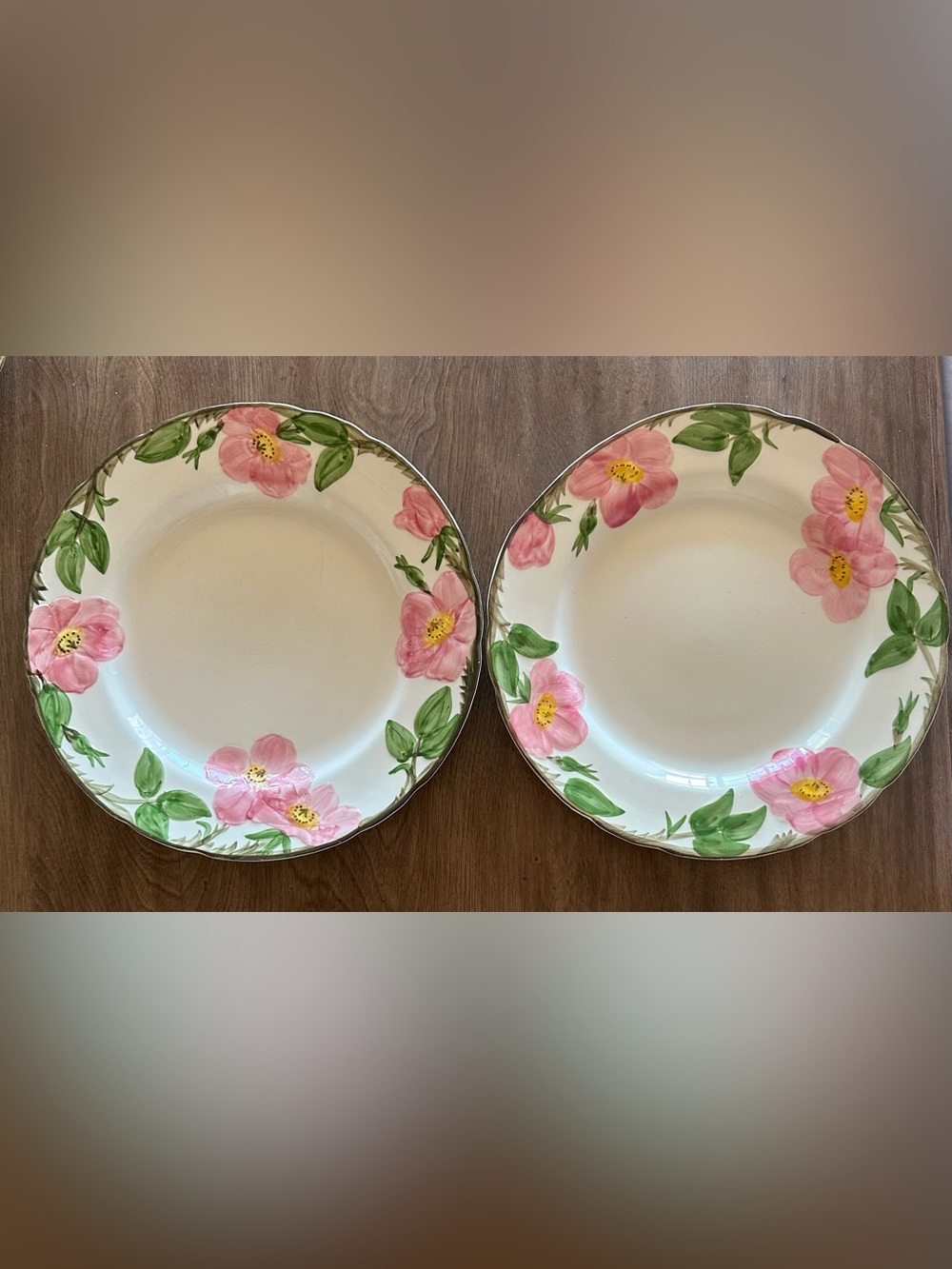 Franciscan Desert Rose Dinner Plates Set of 2 Vintage 10.5”